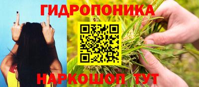 СК Балашиха