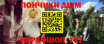 шишки Долгопрудный