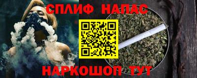 СК Балашиха