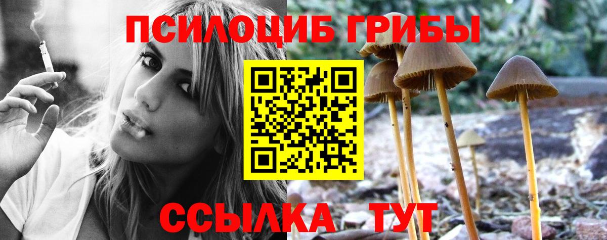 Добрянка  Псилоцибиновые грибы ЛСД  Вход с VPN  сколько стоит  Галлюциногенные грибы Cubensis 