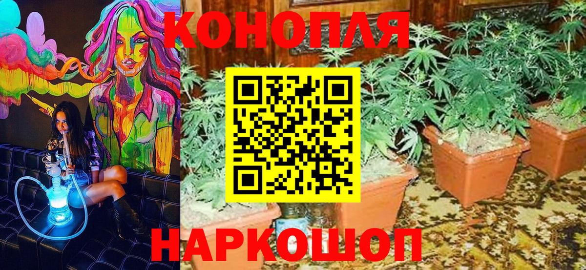Шишки марихуана White Widow  Марихуана Ganja  Канабис THC 21%  Добрянка  Вход с VPN 